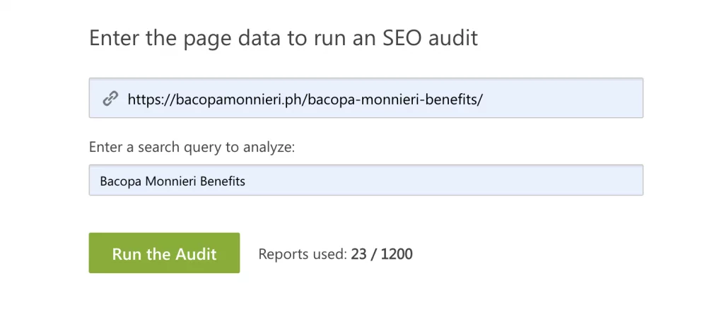 SE Ranking On Page SEO Checker Audit Launch